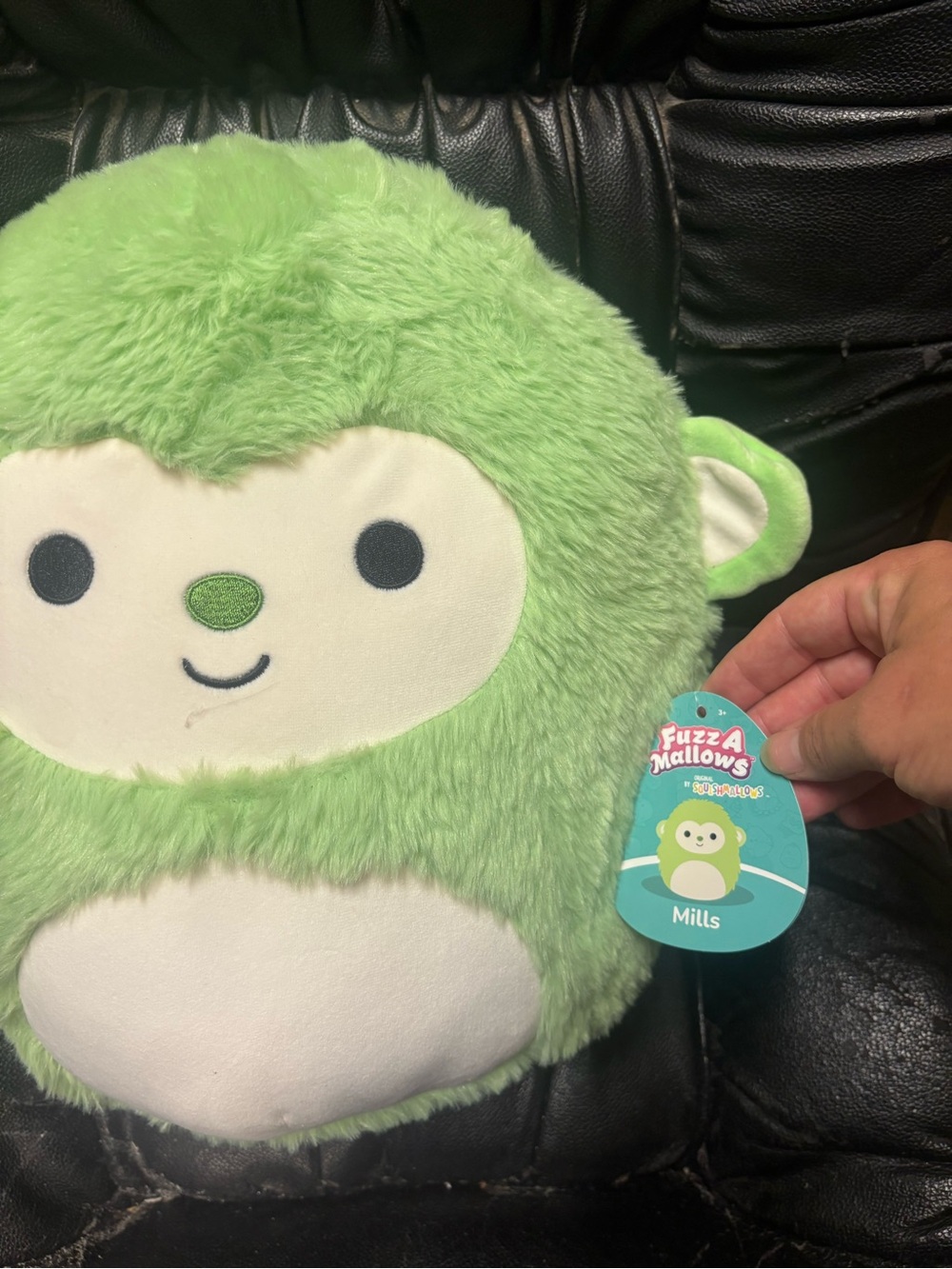 Mills squishmallow
